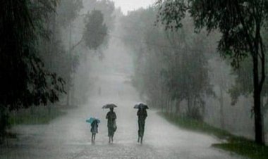 राजधानी रायपुर सहित प्रदेश के कई हिस्सों में रात से हो रही बारिश, तापमान में गिरावट के बाद बढ़ी ठंड
