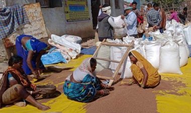 राज्य सरकार का किसानों के हित में अहम् फैसला  कोदो, कुटकी और रागी की खरीदी अब 15 फरवरी तक