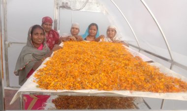 मुख्यमंत्री  भूपेश बघेल 18 फरवरी को लॉन्च करेंगे  गौठानों के उत्पाद के एकीकृत ब्रांड ‘अर्थ‘ को