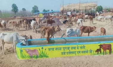 स्वावलंबी गौठान स्वयं की राशि से खरीदने लगे हैं गोबर