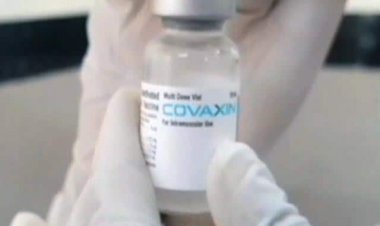 6 से 12 साल के बच्चों को लगेगी Covaxin, DCGI ने दी मंज़ूरी