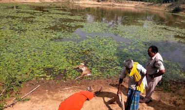अवैध शिकार; वन्य प्राणियों को मारने के लिए तालाब में लगाया था करंट, चीतल के साथ शिकारी की भी मौत