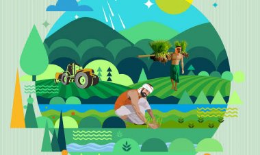 आइए हम जानते हैं हमारे राज्य में संचालित विभिन्न कृषि संंबंधित योजनाओं  को।