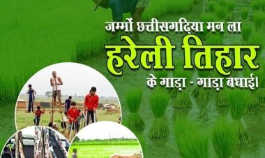प्रकृति की धुली हुई हरियाली का स्वागत करना ही है-हरेली