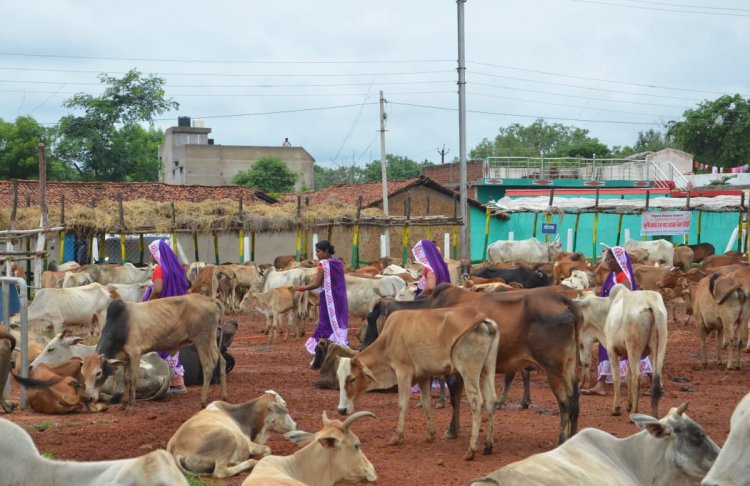 गौठनो में संचालित आजीविका गतिविधियों से महिलाएं हो रही हैं लाभन्वित