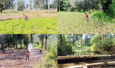 नदी-नालों के पुनर्जीवन से बदलने लगी लोगों की तकदीर