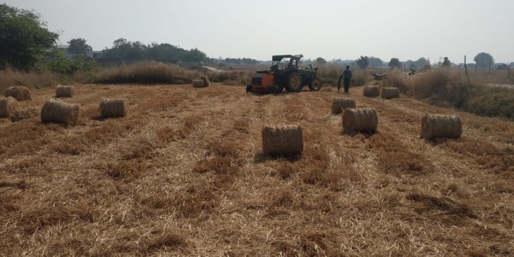 भूमि की उर्वरा शक्ति बढ़ाने और पर्यावरण संरक्षण को ध्यान में रखते हुए किसान कर रहे हैं पैरादान