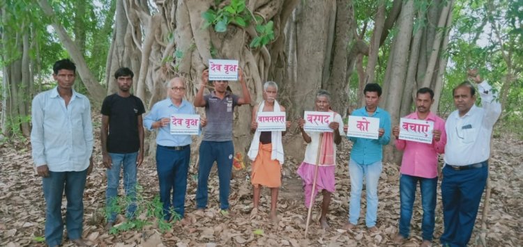 बायोडायवर्सिटी दिवस पर ग्रीन केयर की गुहार  बामनसरा के 400 वर्षीय  बरगद को अब तो बचा लो सरकार  14 बरस से चीख रहे हैं हम लगातार - डॉ पाणिग्राही