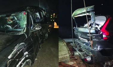 सड़क हादसे में 5 डॉक्टरों की मौत