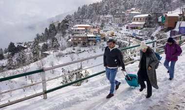 शिमला के 70 प्रतिशत होटल फुल, बर्फबारी से हिमाचल में 233 सड़कें बंद
