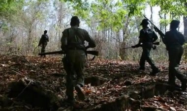 कान्हा में मुठभेड़: 3 महिला नक्सली ढेर, हथियार बरामद...