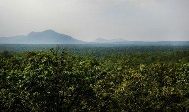 हसदेव अरण्य में कोयला खनन को राज्य से हरी झंडी