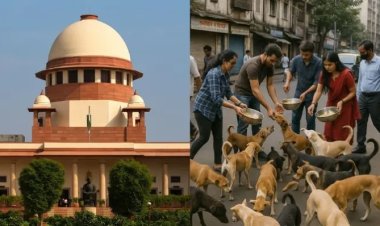आवारा कुत्तों के मामले में सुनवाई पूरी, सुप्रीम कोर्ट ने फैसला रखा सुरक्षित