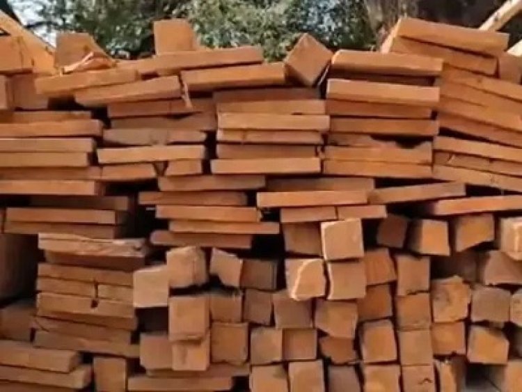 दंतेवाड़ा में वन विभाग की बड़ी कार्रवाई, 175 नग सागौन लकड़ी जब्त