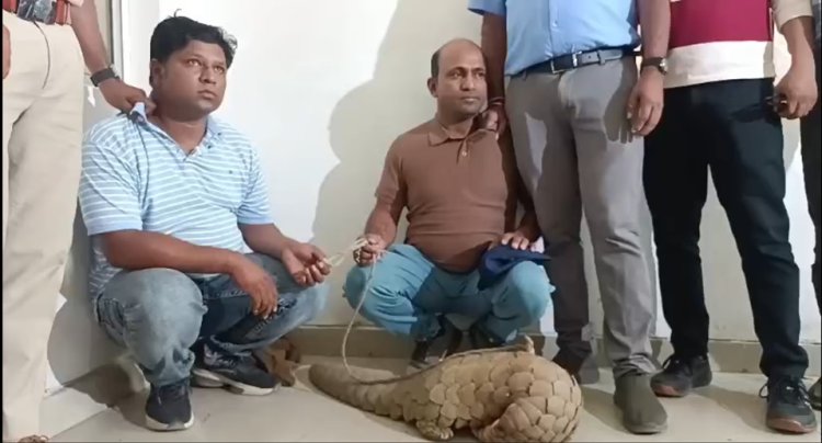 पैंगोलिन बेचने 2 तस्कर पहुंचे रायपुर, वन विभाग की टीम ने पकड़ा