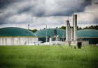 बिलासपुर में लगेगा BPCL का CBG प्लांट, NGT ने जमीन आवंटन के खिलाफ याचिका खारिज की