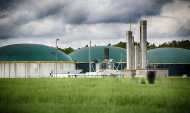 बिलासपुर में लगेगा BPCL का CBG प्लांट, NGT ने जमीन आवंटन के खिलाफ याचिका खारिज की