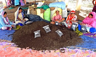 ग्रामीणों की ग्रामीणों द्वारा संचालित है गौठान और गोधन न्याय योजना