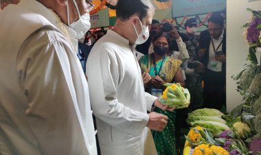 सांसद  राहुल गांधी को लुभाया  पांच रंगों की गोभी एवं बस्तर की कॉफी ने