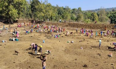 नरवा विकास : वर्ष 2021-22 में कैम्पा मद से 392 करोड़ रूपए की राशि स्वीकृत