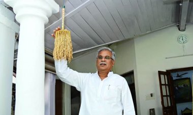 मुख्यमंत्री ने दीपावली की सांस्कृतिक परंपरा के अनुरूप आज धनतेरस पर अपने निवास पर धान की झालर बांधने की रस्म की पूरी