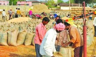 छत्तीसगढ़ में आज से शुरू होगा धान खरीदी का महाभियान, 25 लाख से अधिक किसान बेचेंगे समर्थन मूल्य पर धान
