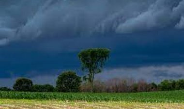 इस साल सामान्य रहेगा मॉनसून, 4 जून को पहुंचेगा केरल : IMD