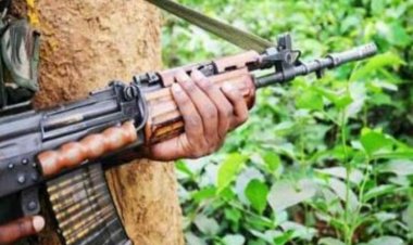 छत्तीसगढ़ राज्य  मुठभेड़ में 12 नक्सली ढेर, दो जवान शहीद