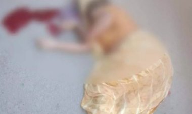 मॉर्निंग वॉक पर निकले चार लोगों को कार ने कुचल दिया, एक महिला की मौत, तीन गंभीर