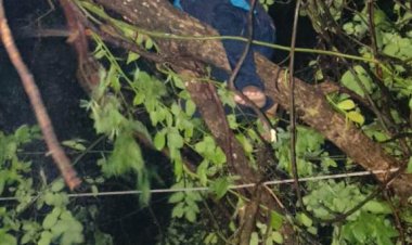 छत्तीसगढ़ में बेमौसम बारिश ने ली तीन लोगों की जान