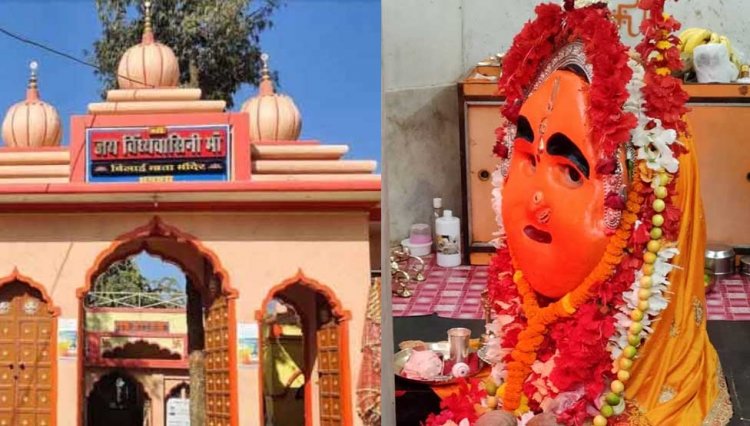 धमतरी की बिलाई माता: बिल्लियों से जुड़ी है स्थापना की कथा...
