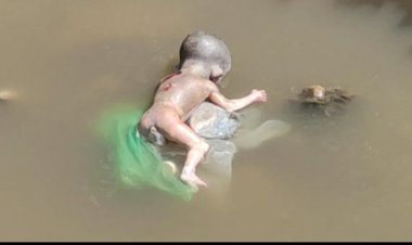 भ्रूण मिलने से फैली सनसनी, इलाके में मचा हड़कंप