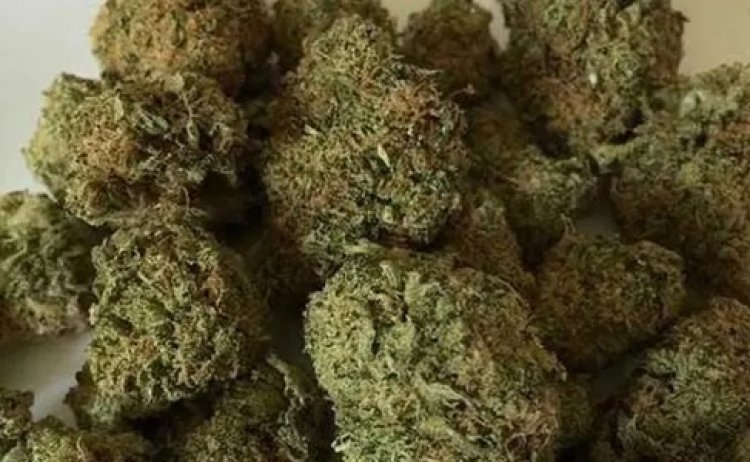 साड़ी की आड़ में गांजा तस्करी, दो महिला समेत पांच गिरफ्तार