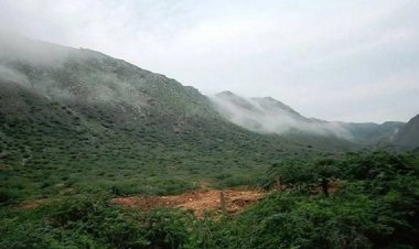 अरावली की नई परिभाषा पर सवाल, वरिष्ठ वकील ने CJI से की पुनर्विचार की मांग: पर्यावरण संरक्षण पर खतरा?