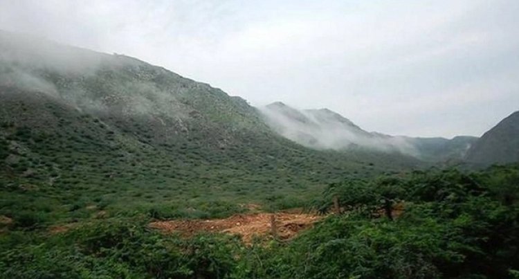 अरावली की नई परिभाषा पर सवाल, वरिष्ठ वकील ने CJI से की पुनर्विचार की मांग: पर्यावरण संरक्षण पर खतरा?