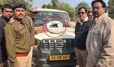 चेकिंग के दौरान स्कॉर्पियो से बरामद हुआ पैंगोलिन, तस्कर फरार...