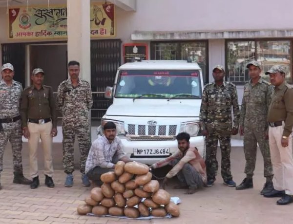 बोलेरो से बरामद हुआ 26 किलो गांजा, दो अंतरराज्यीय तस्कर गिरफ्तार