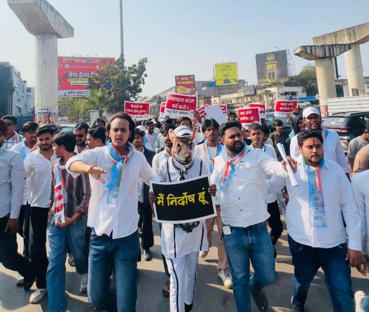 धान घोटाले पर सरकार का चूहे-बिल्ली खेल बंद हो : NSUI