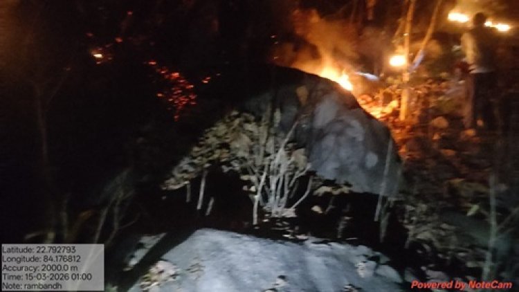 जशपुर वनमंडल में दो स्थानों पर लगी आग पर रातों-रात पाया गया नियंत्रण