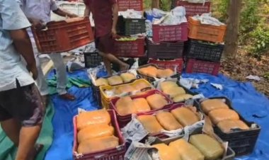 आम की कैरेट के नीचे छिपाकर ले जा रहे थे 207 किलो गांजा