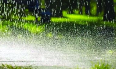 मानसून ने पकड़ी रफ्तार, कई राज्यों में भारी बारिश का अलर्ट; केरल में पेड़ गिरने से युवक की मौत