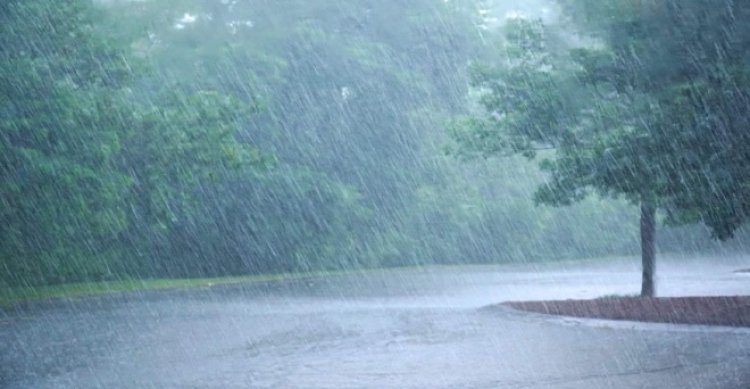 बदलने वाला है मौसम: 11 जून के बाद झमाझम बारिश के आसार