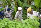 बंगाल में नाबालिग लड़की से रेप-हत्या का आरोपी मुठभेड़ में ढेर