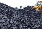 रायगढ़ के दो कोल प्रोजेक्ट्स को केंद्र की मंजूरी, 983 हेक्टेयर वन भूमि होगी डायवर्ट