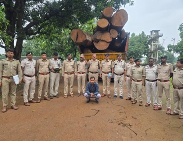 कोरबा वन मंडल ने की 20 घनमीटर अवैध साल लकड़ी बरामद,मुख्य आरोपी गिरफ्तार