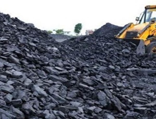 रायगढ़ के दो कोल प्रोजेक्ट्स को केंद्र की मंजूरी, 983 हेक्टेयर वन भूमि होगी डायवर्ट