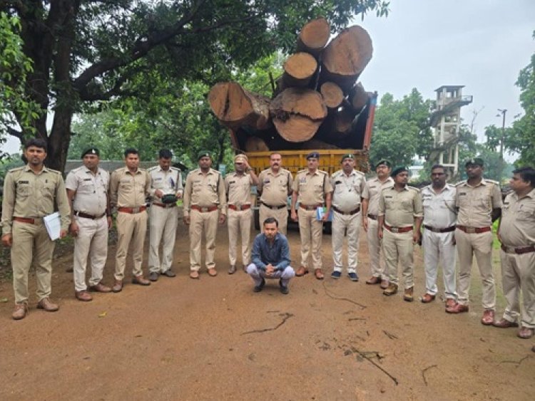 कोरबा वन मंडल ने की 20 घनमीटर अवैध साल लकड़ी बरामद,मुख्य आरोपी गिरफ्तार