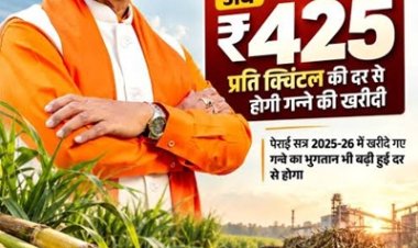 गन्ना मूल्य में छत्तीसगढ़ देश में नंबर वन,किसानों को अब 425 रुपये प्रति क्विंटल मिलेगा