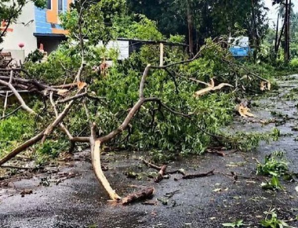 आंध्र प्रदेश में चक्रवात अर्नब का तांडव, तेज हवाओं और भारी बारिश से भारी नुकसान, 50 ट्रेनें और 21 उड़ानें रद्द